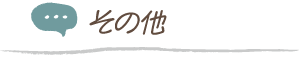 その他
